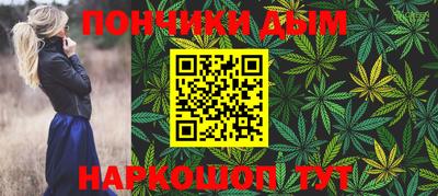 сатива Лесосибирск