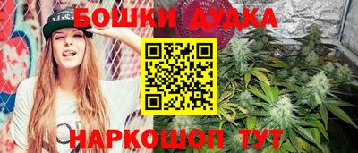 сатива Лесосибирск