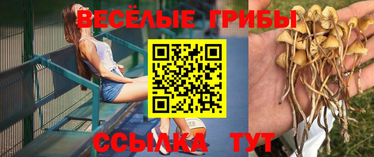 Галлюциногенные грибы Cubensis  Вход с VPN  Псилоцибиновые грибы MAGIC MUSHROOMS  Шебекино 